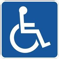 Группа инвалидности